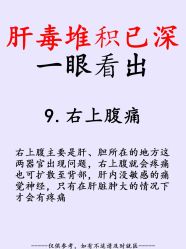 点击看大图 -玛莲朵·海菲秀冰珀科