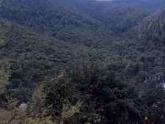 -WILDS 野有食(碧坞店)