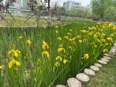 -西海子公园