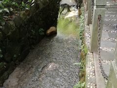 -十八棵（老龙井）御茶园(老龙井店)
