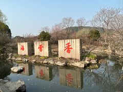 -香雪海