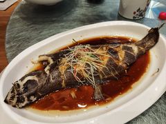 蒸鱼-王朝圣地温泉酒店-中餐厅