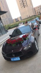 -蚂蚁婚车