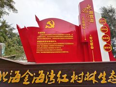 -北海金海湾红树林生态旅游区