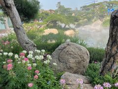 -罗红摄影艺术馆