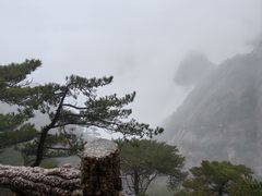 -黄山风景区