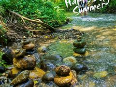 -桤木河湿地公园