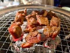 -四斤烤肉(东戴河孟家店)