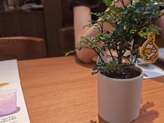 -CURRY YA 熟成咖哩專門店(深圳湾万象城店)