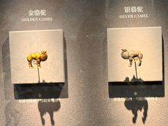 -秦始皇帝陵博物院(兵马俑)