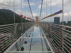 -客天下恐龙水晶玻璃桥