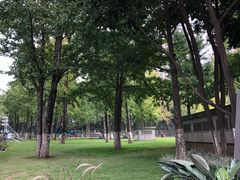 -重庆市江北嘴中央商务区中央公园