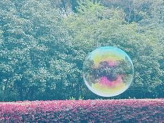 -黄兴公园