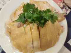 -振鼎鸡(福州路店)