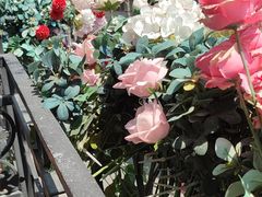 -粤味馆(黄河路店)