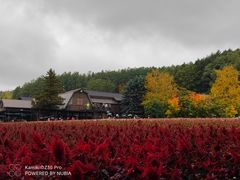 -富田农场