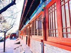 -大觉寺-停车场