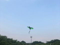 -东莞植物园