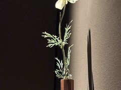 -安屿an·spa(卓悦中心商场店)