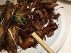 炭烧海兔-日丰园海肠水饺·老字号大连海鲜(和平广场店)