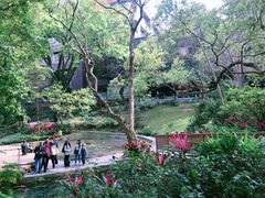 -香港大学