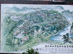 -铁山坪森林公园