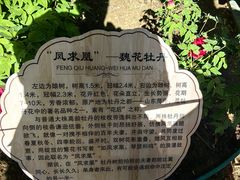 -太阳宫公园