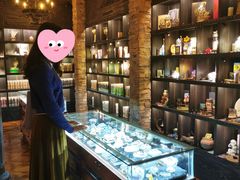 -雪灵魔法世界SHELLY’S TAROT(大良桂畔里店)