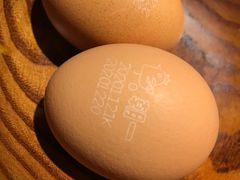 -一绪に寿喜烧自助(世茂广场店)