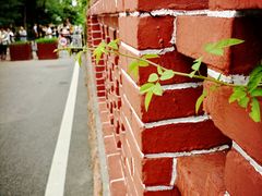 -八大关景区