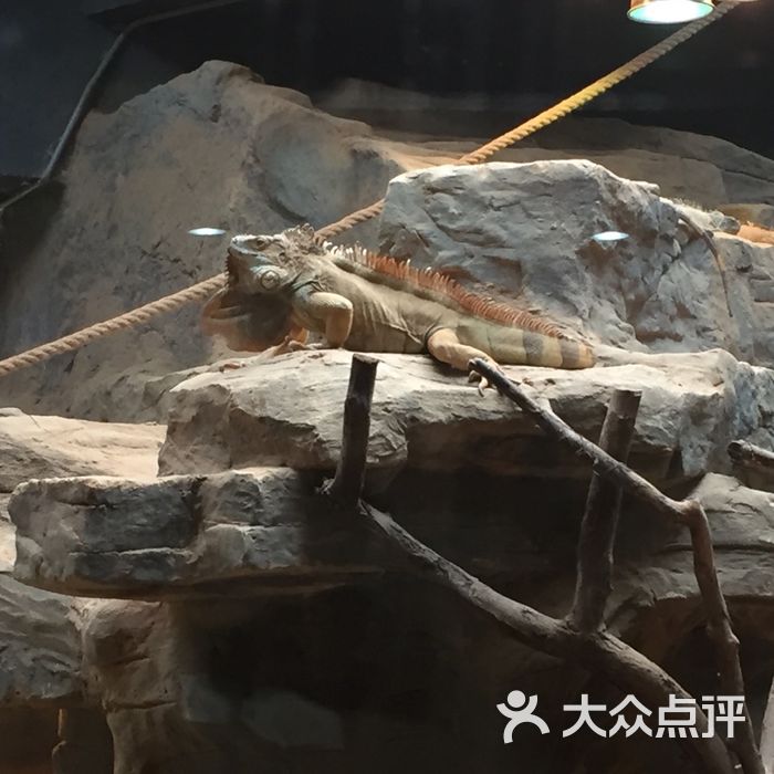 上海动物园蛇馆图片