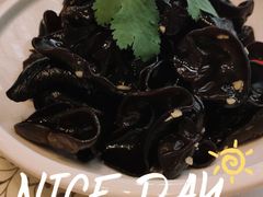 爽口小木耳-乾隆美食·本帮菜(黄河路店)