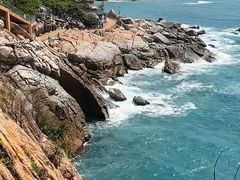 -广东惠东海龟国家级自然保护区