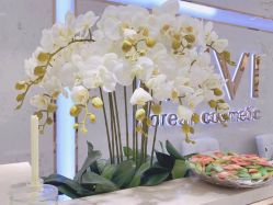 -MIVI野生眉纹绣纹眉