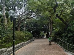 -九龙公园
