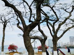 -鼓浪屿内厝澳码头(轮渡站)