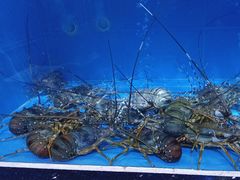 -迎喜海鲜酒楼(鹏森·海纳中心店)