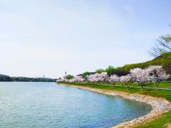 -羊山湖公园