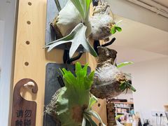 -本無咖啡·BeanWood Coffee