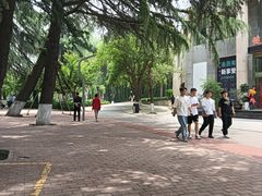 -西安市长乐公园