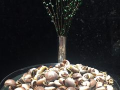 -济南富力凯悦酒店