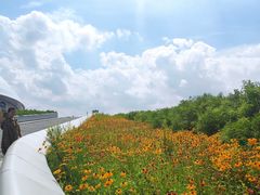 -哈尔滨大剧院