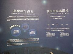 -中国湿地博物馆