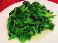 酒香豆苗-老吉士酒家(天平路店)