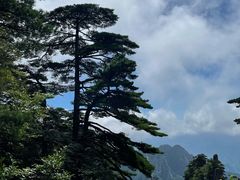 -黄山风景区