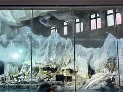 -帝企鹅自助餐厅•儿童岛•真企鹅(长隆企鹅酒店)