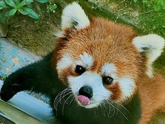 -无锡动物园·太湖欢乐园