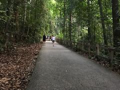 -武吉知马自然保护区