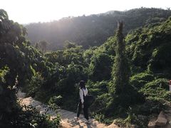 -东澳岛