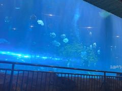 -华夏文旅海洋公园